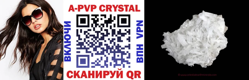 A PVP СК Камышин